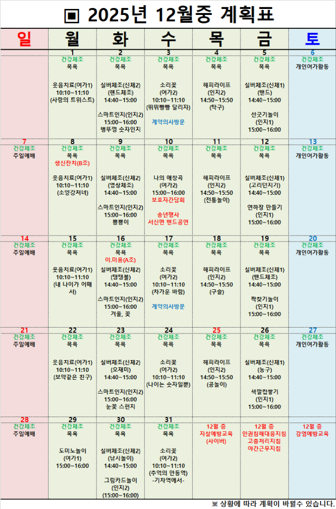 12월 월중 계획.png